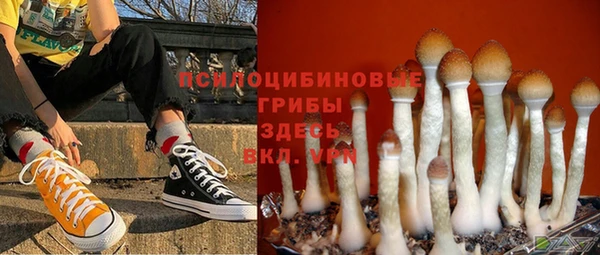прущие крисы Мегион
